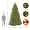 12 ft. Pre-Lit Dunhill® Fir Hinged Full Artificial Christmas Tree, Clear Lights